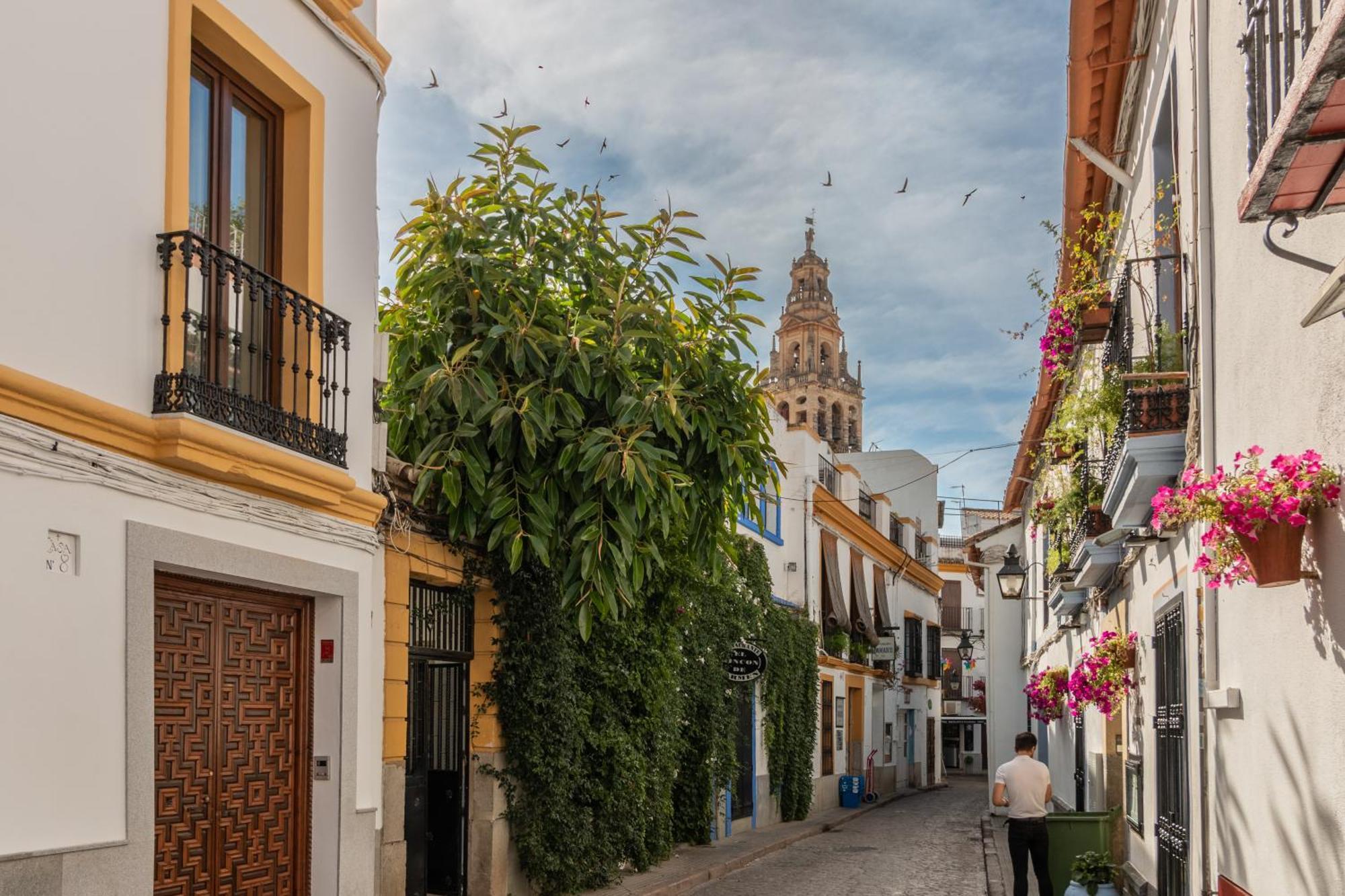 Apartmán Luxury El Patio De La Juderia Córdoba Exteriér fotografie